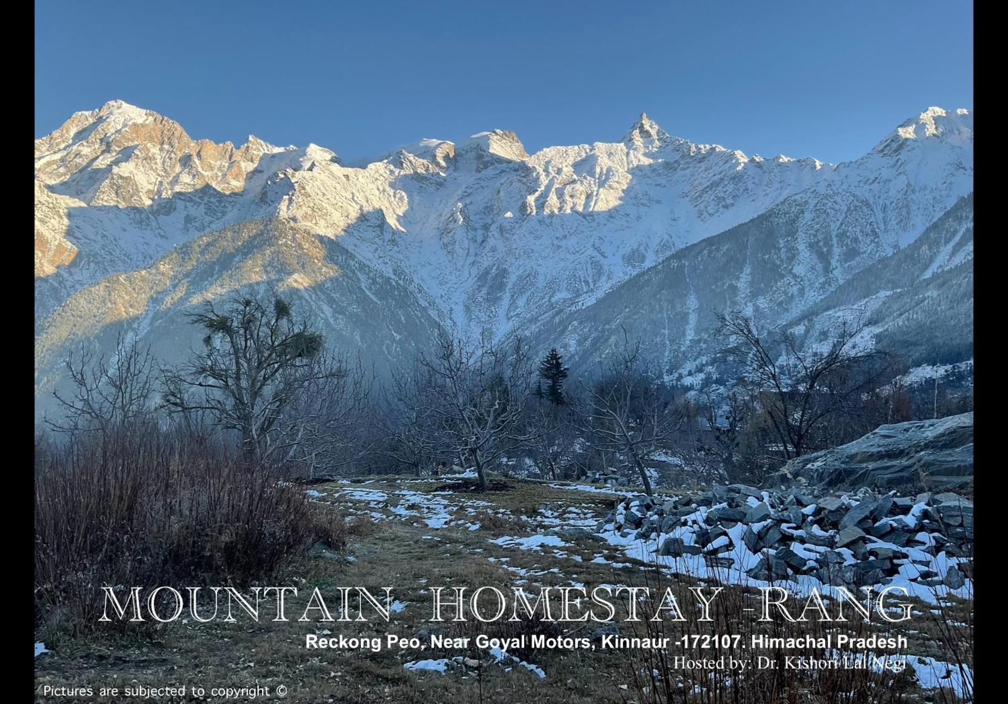 Mountain Home Stay -Rang, At Reckong Peo - Kalpa, Near Goyal Motors, Way To Petrol Pump At Itbp Quarters Exteriér fotografie